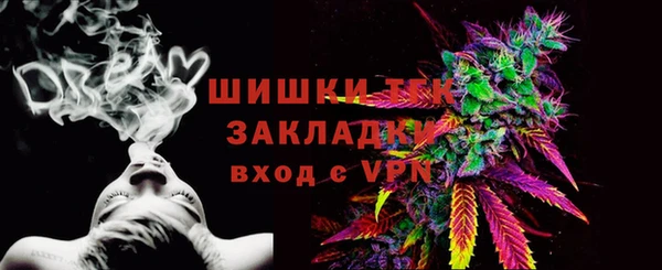 таблы Богородицк