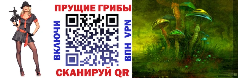 Галлюциногенные грибы Psilocybine cubensis  Гусев 